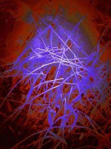 ������Ʒ