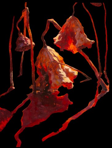 ������Ʒ